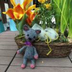 Kitten Lisa from Christiane likes spring